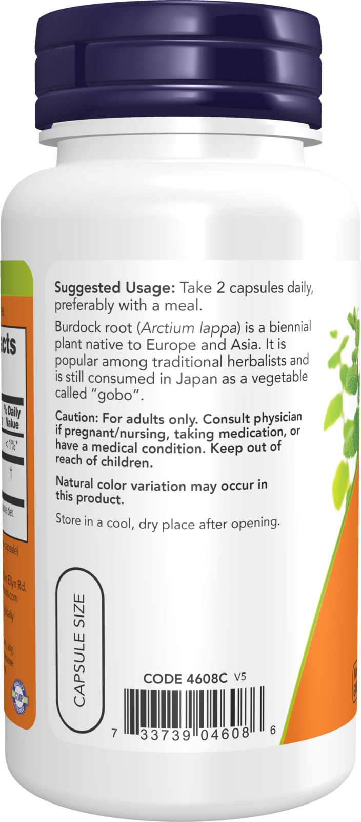 Now Burdock Root 100ct