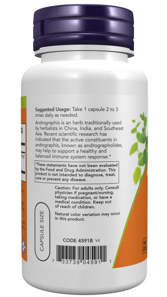 Now Andrographis Extract 90ct