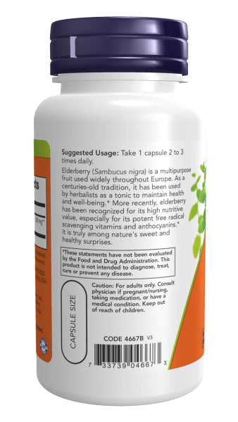 Now Elderberry Extract 500mg Veg Capsules 60ct