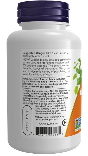 Now Ginkgo Biloba 120mg Veg Capsules 100ct