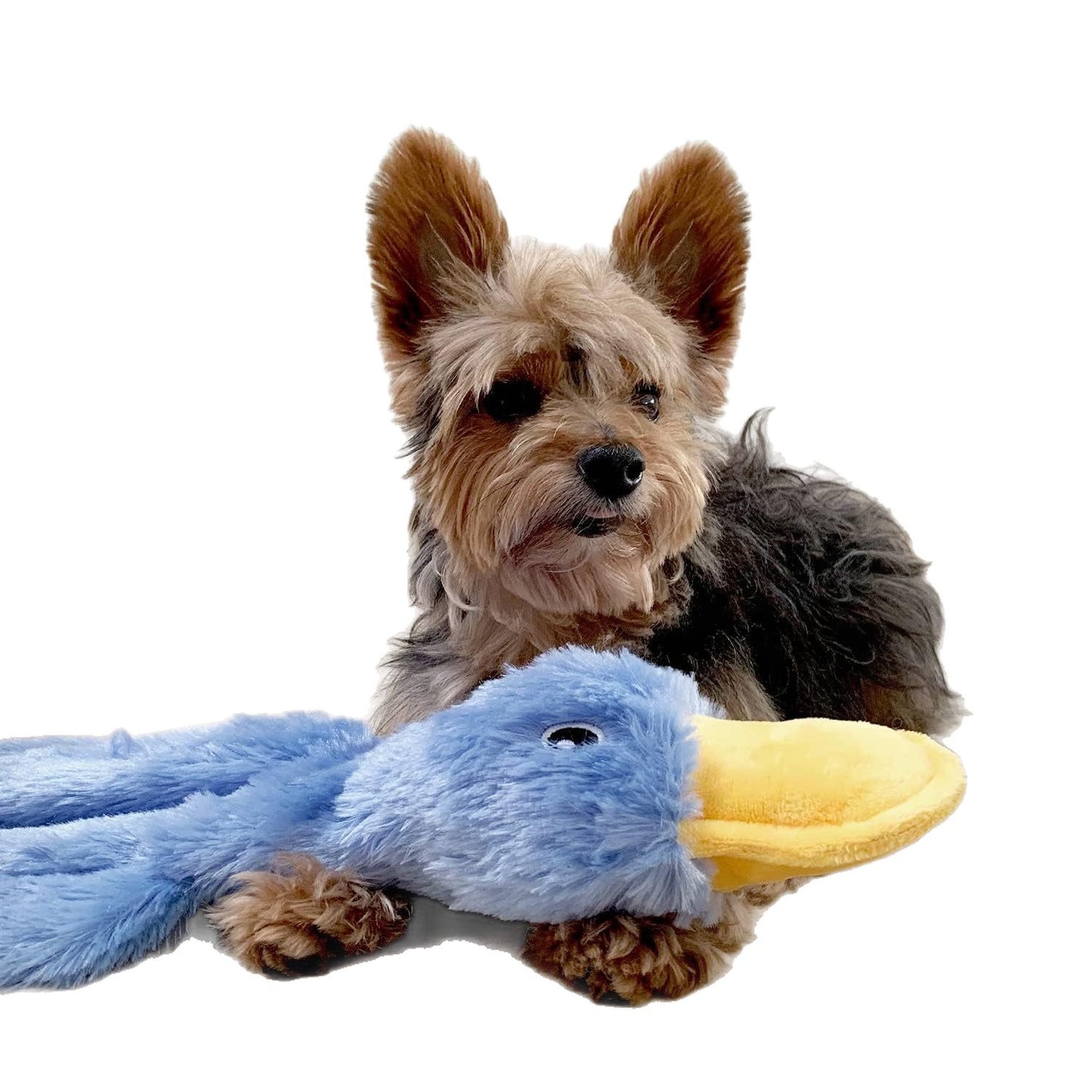 Squeaky Plush Dog Chew Toy - Interactive Fetch Toy
